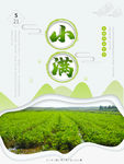 小满