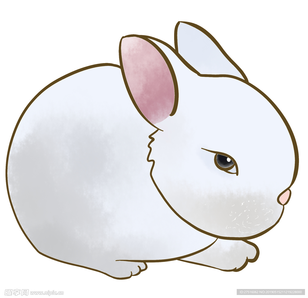 兔子