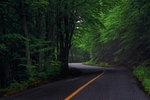 道路