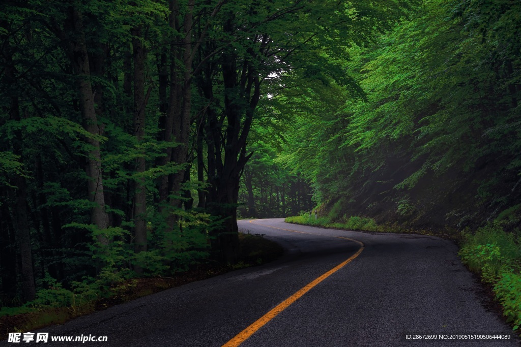 道路