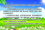 蓝天白云草地