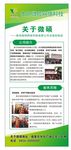 微硕网络简介