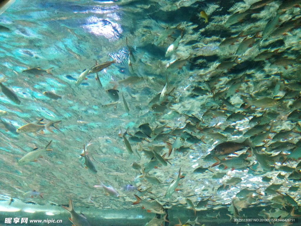 水族馆