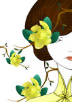 女人花插画素材