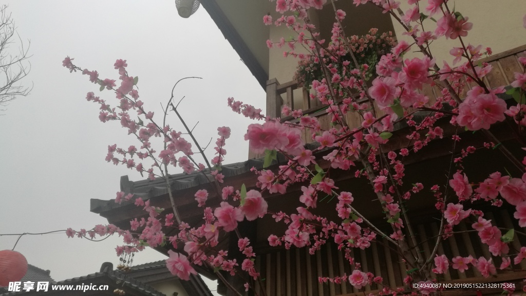桃花