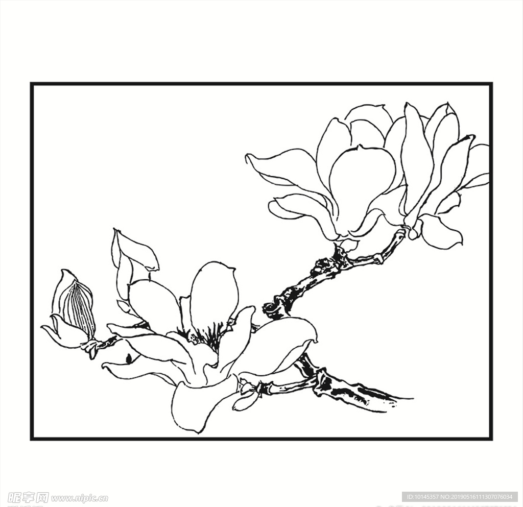 花卉