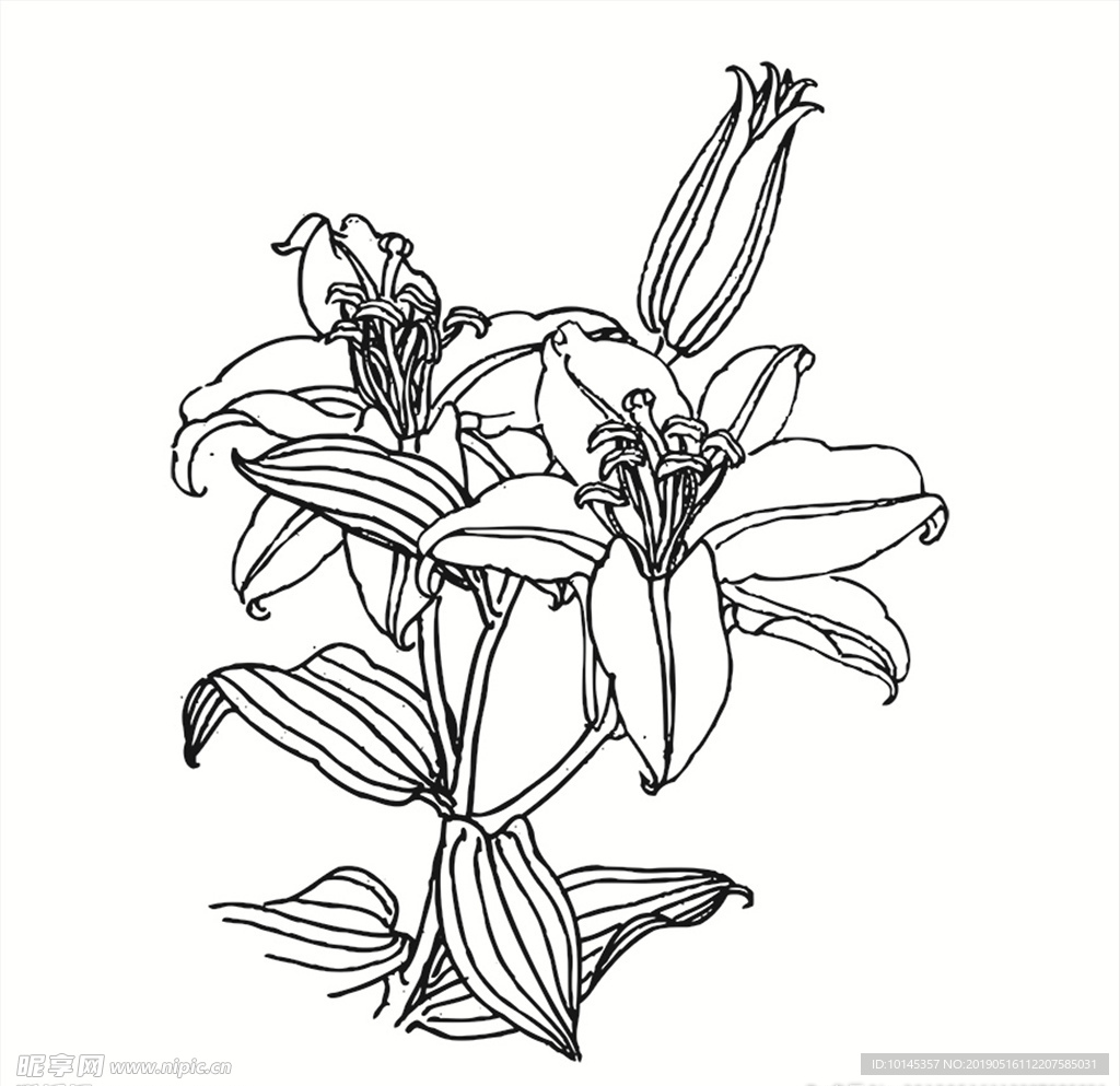 花卉