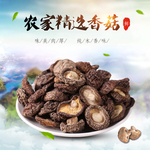 香菇