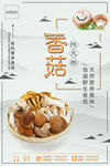 香菇
