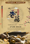 香菇