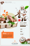 香菇