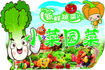 新鲜蔬菜