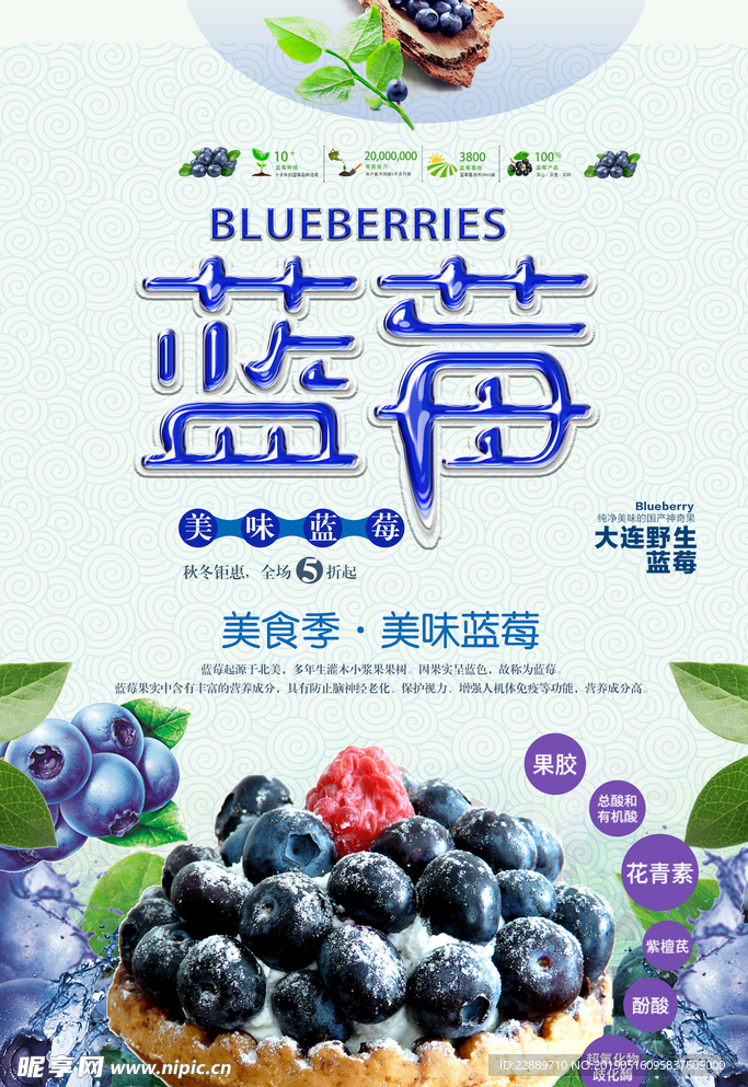 蓝莓上新海报