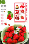 草莓采摘海报