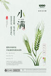 小满绿