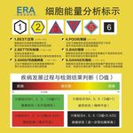 细胞能量分析标示