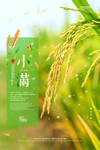 小满