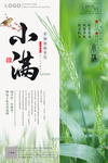 小满