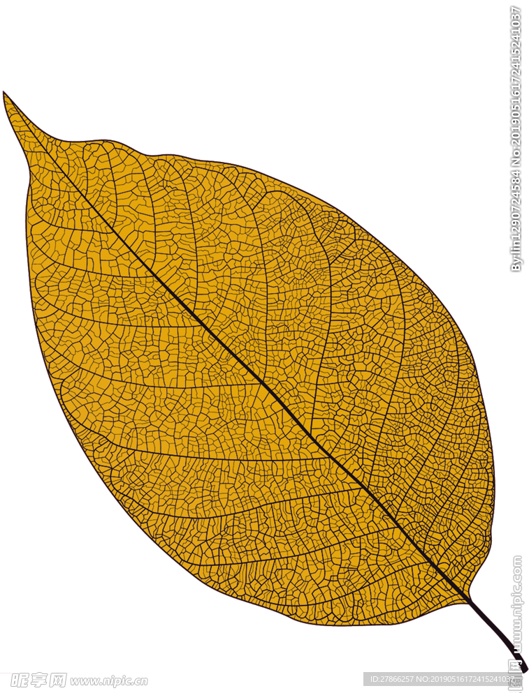 金黄色纹理树叶