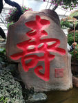 寿