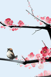 花鸟