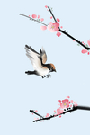 花鸟