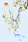 花鸟