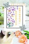 蝶恋花