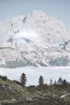 雪景