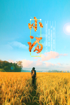小满节气海报
