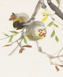 中国古典大师国画