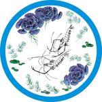 虾