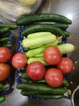 黄瓜