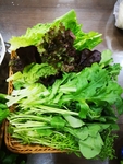 蘸酱菜