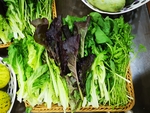蔬菜篮