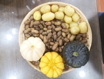 菜篮