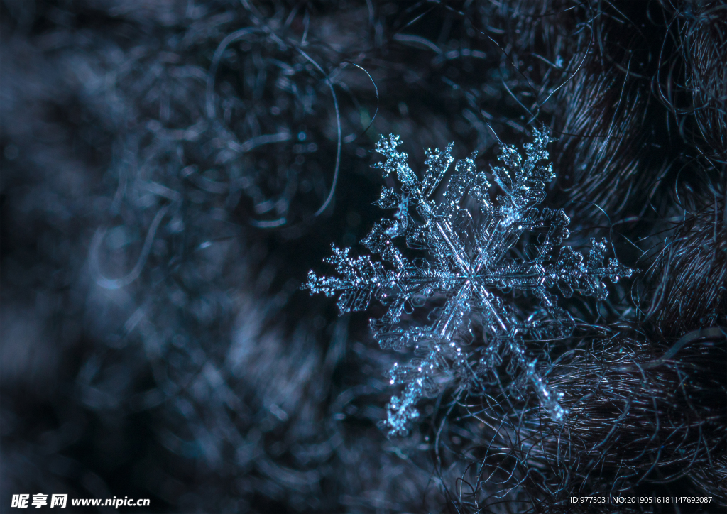 雪花