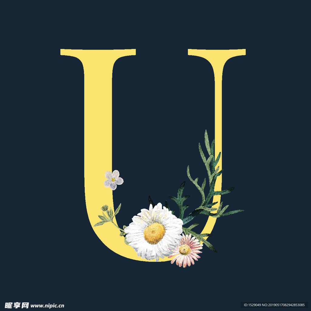 字母与花朵