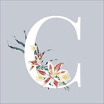 字母与花朵