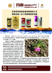 好利兰德