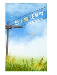 小满 节气 蓝天 麦穗 稻谷