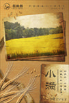 小满 乡村 节日海报 复古海报