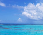海洋