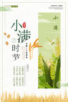 小满时节