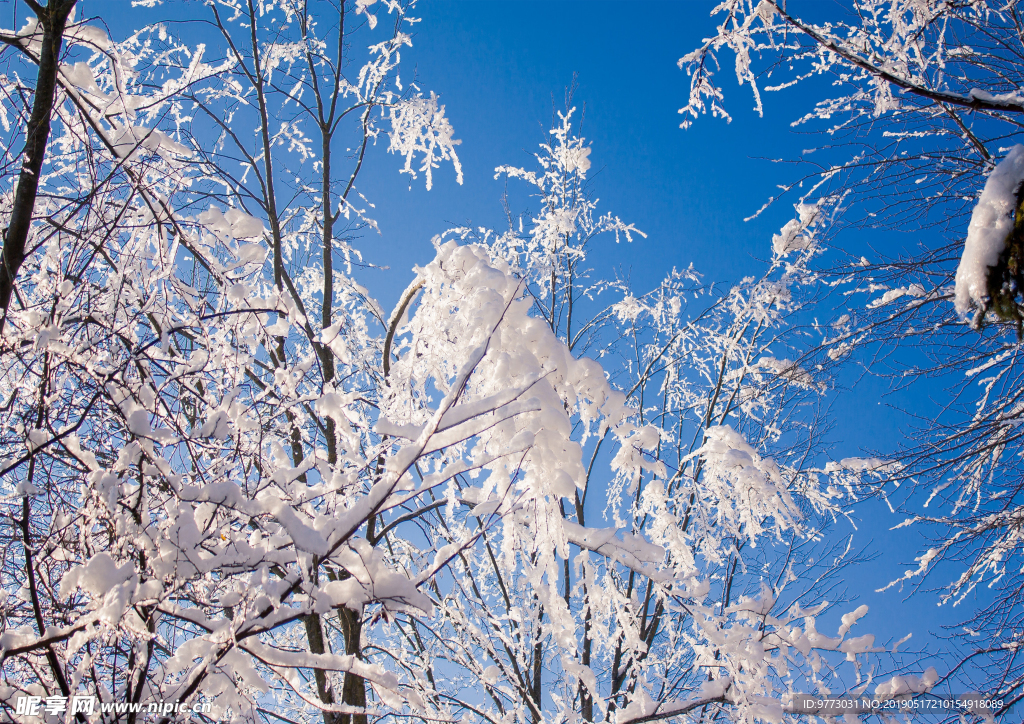 雪景