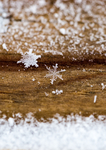 雪花