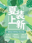 夏季上新