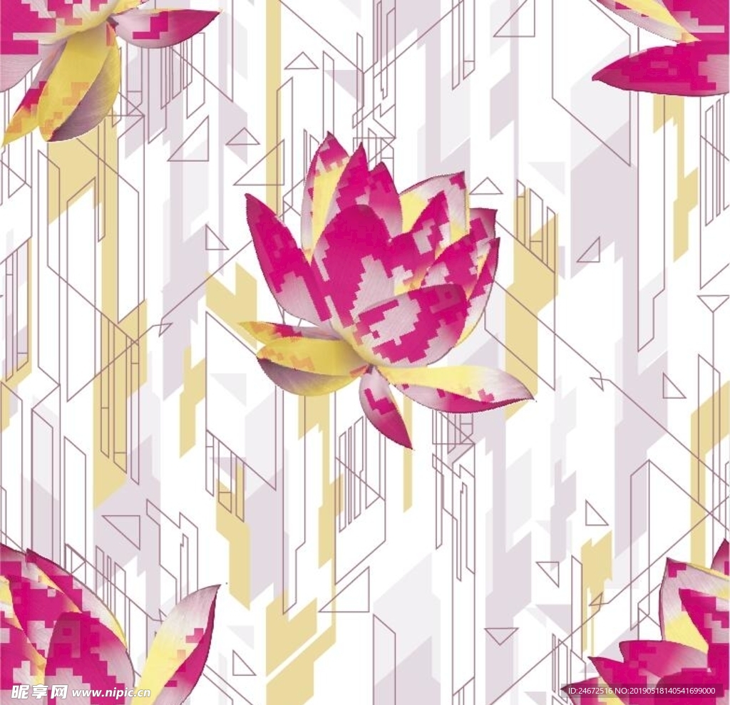 荷花