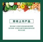 蔬菜海报上市