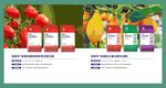 水果科学施肥